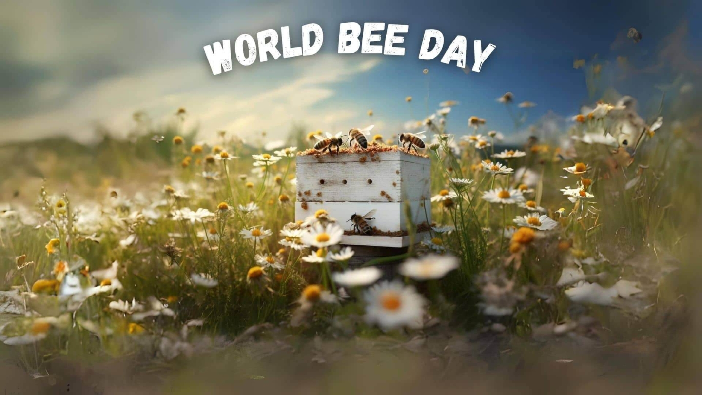 World Bee Day
