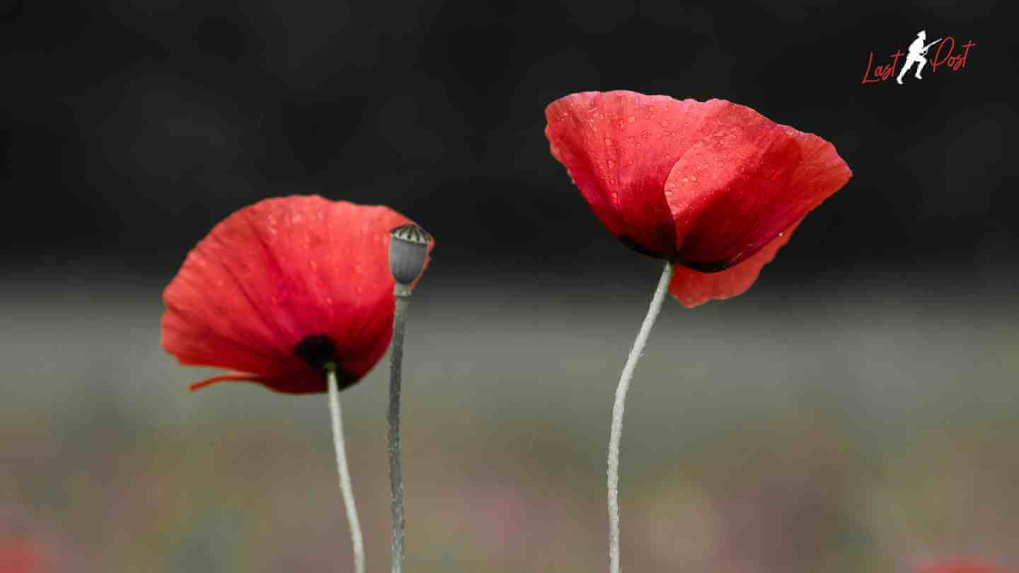 History of Remembrance Day