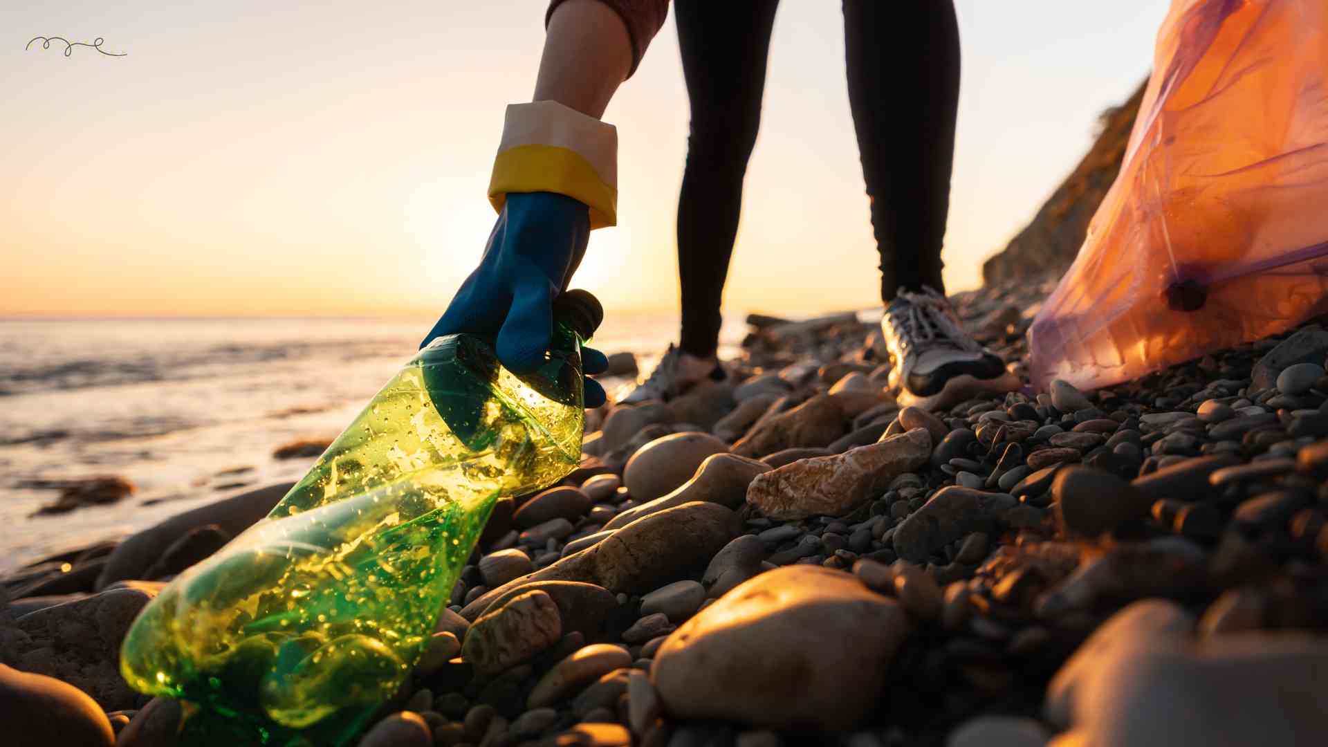 Beach recycle day 